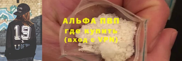 стаф Абаза